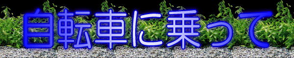 ]Ԃɏ 